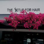 The Setup For Hair logo