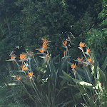 Expressions For Hair At Home logo